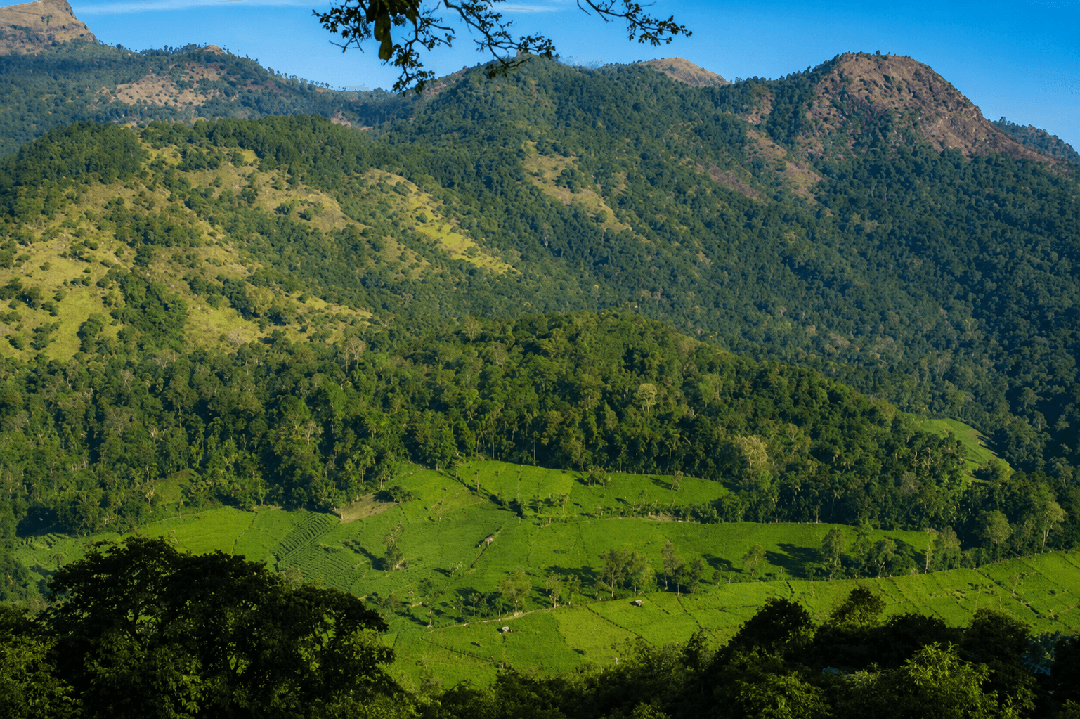 Namunukula Viewpoint