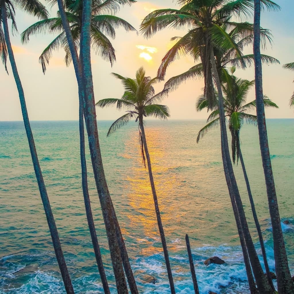 mirissa-beach Gallery Image 3