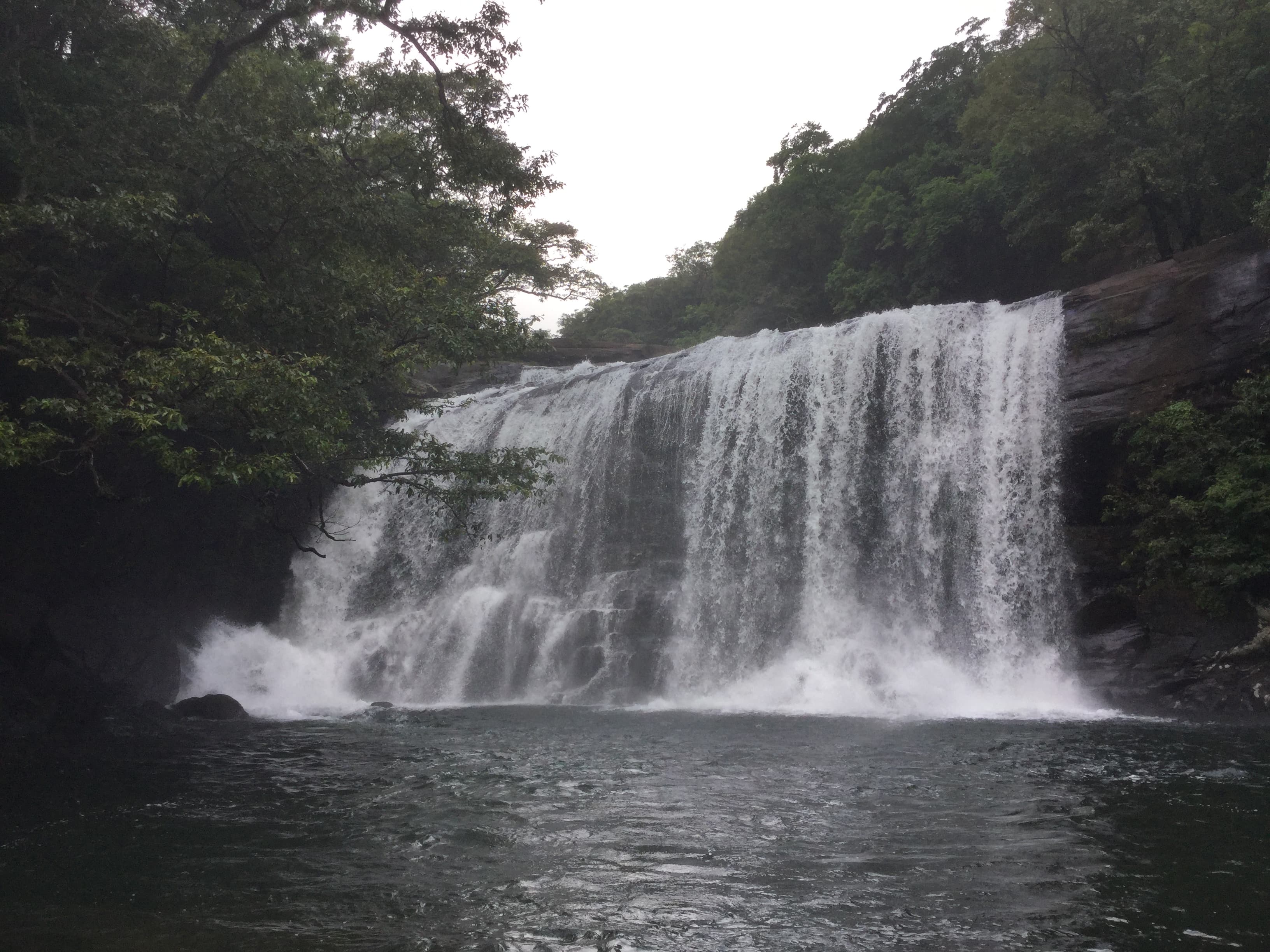 sera-ella-falls Gallery Image 7