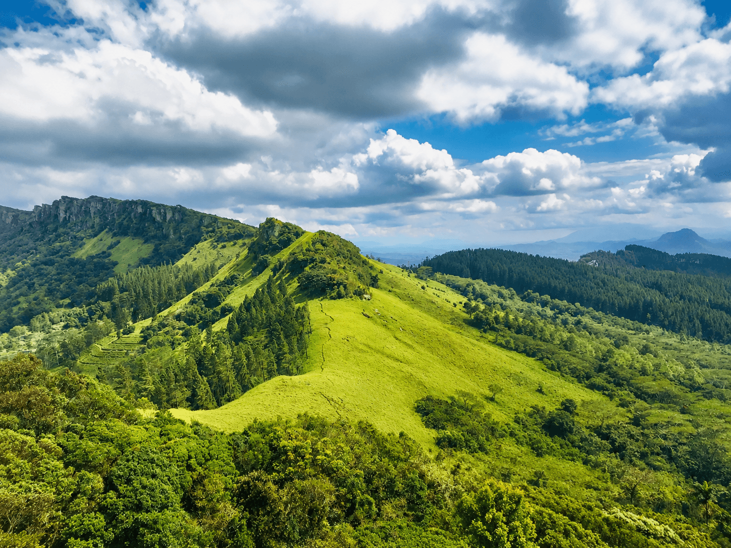hanthana-mountain-range Gallery Image 5