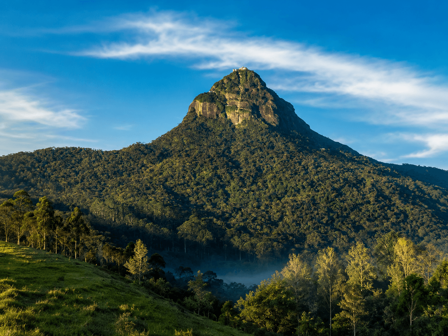 adams-peak Gallery Image 4