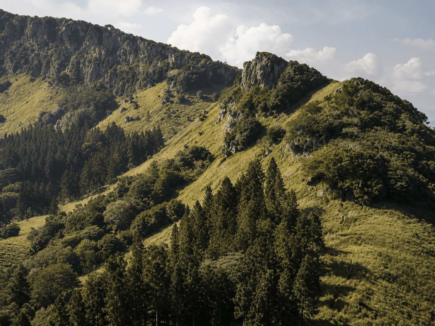 hanthana-mountain-range Gallery Image 1