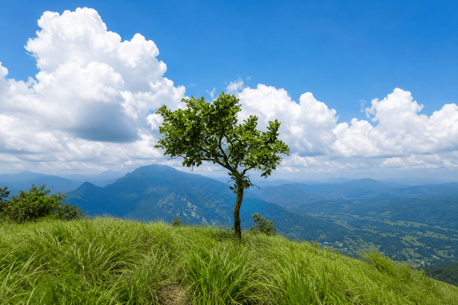 bible-rock-viewpoint Gallery Image 2