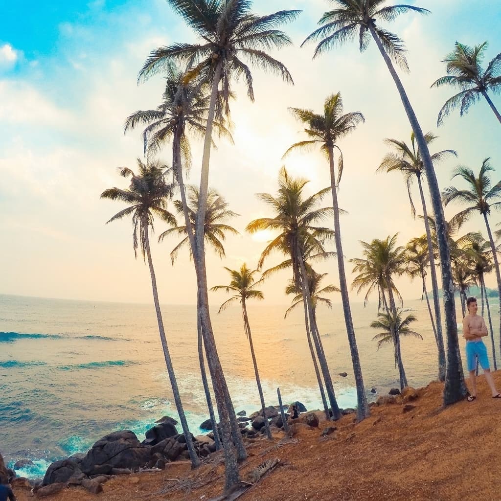 coconut-tree-hill Gallery Image 10