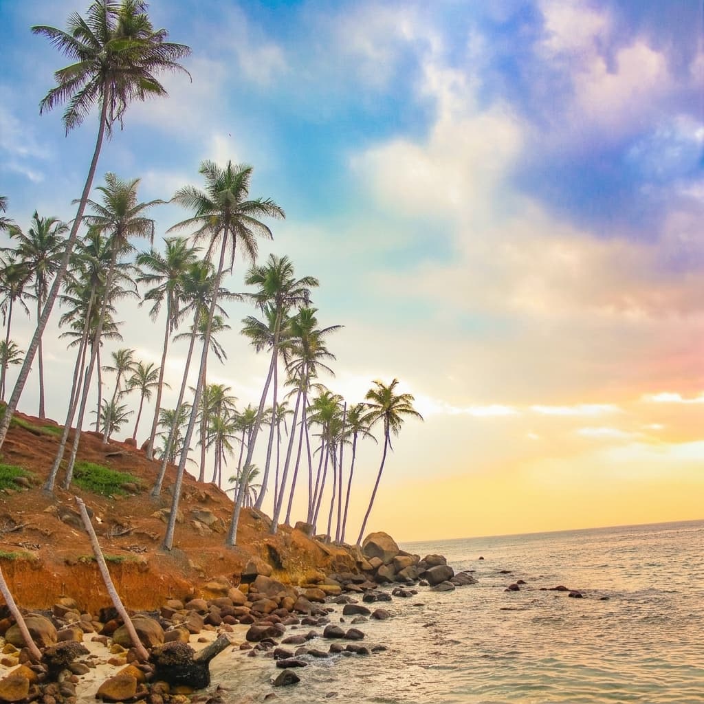 coconut-tree-hill Gallery Image 6