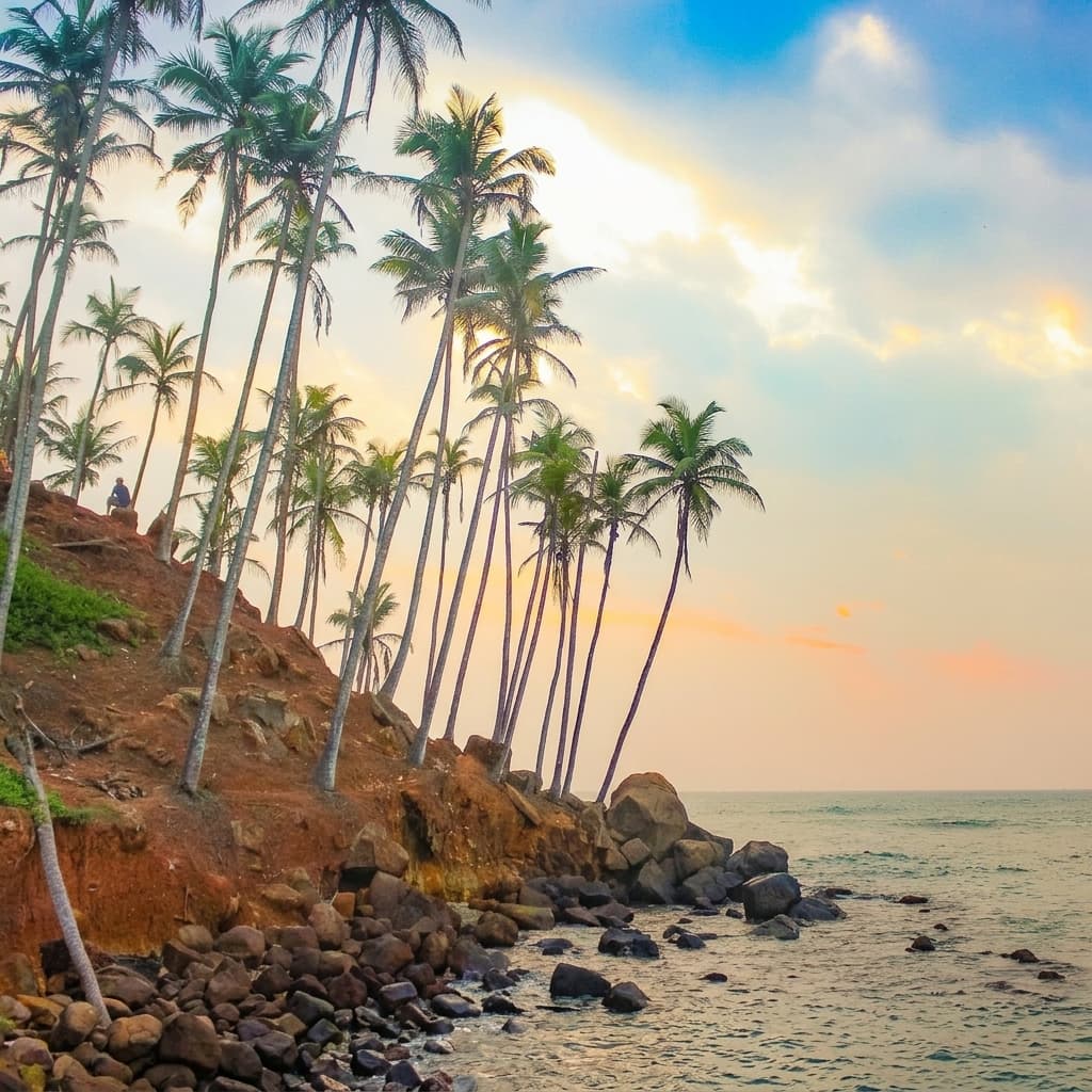 coconut-tree-hill Gallery Image 3