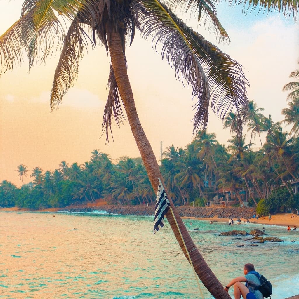 coconut-tree-hill Gallery Image 2