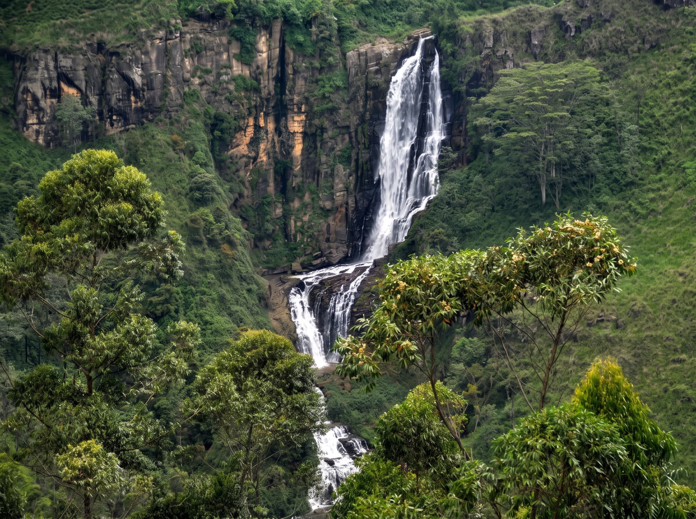 devon-falls Gallery Image 2